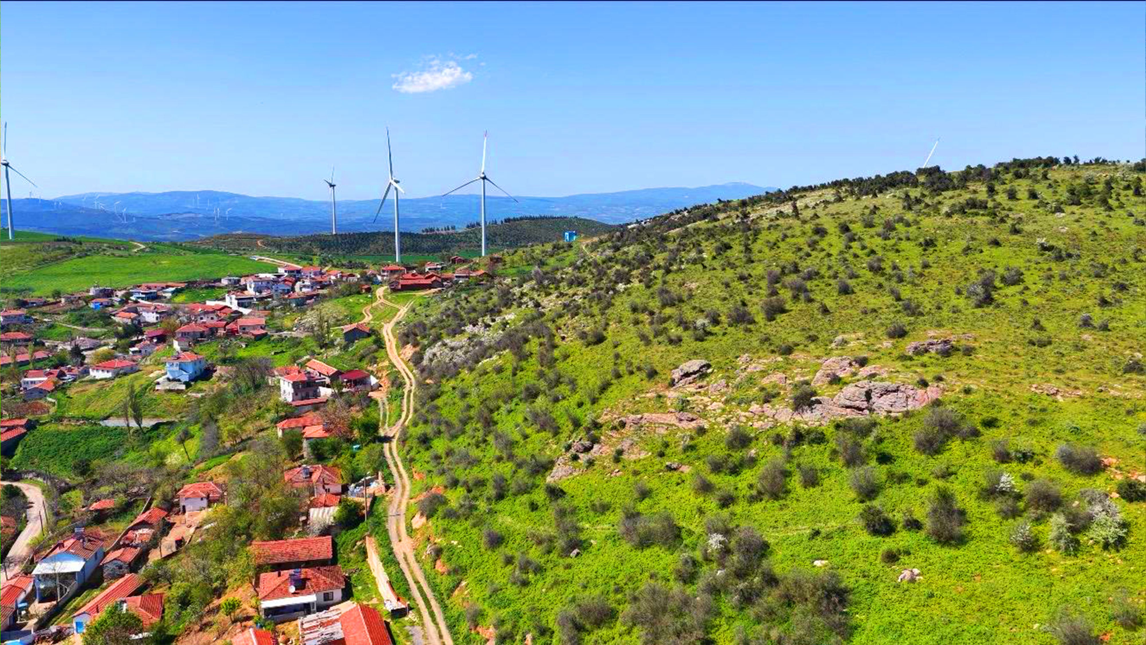 Armutlu Projesi - 1